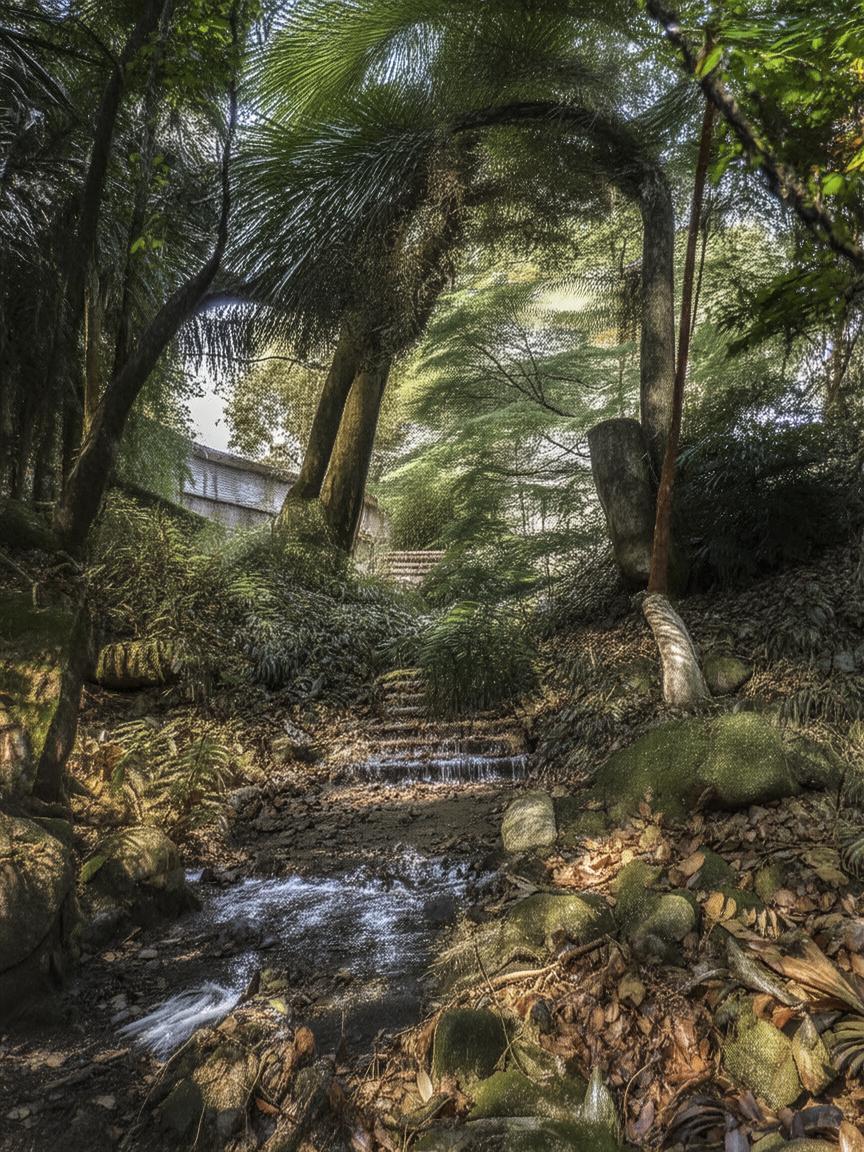 抖音怎么涨粉流量变现_抖音涨粉变现秘诀插图