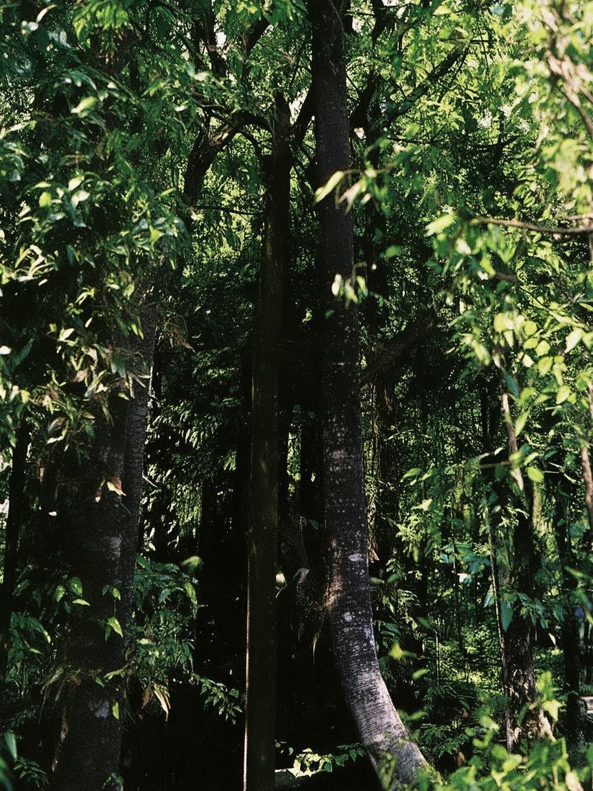 抖音粉丝怎么剧_抖音增粉秘诀插图