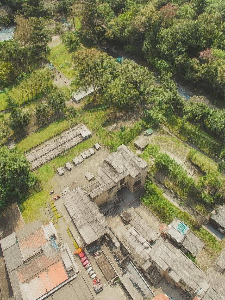 郑州自助抖音团购平台有哪些_郑州抖音团购平台盘点插图 郑州自助抖音团购平台有哪些_郑州抖音团购平台盘点插图